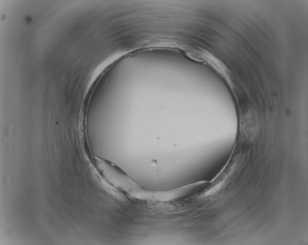 X0000066081149200604071725