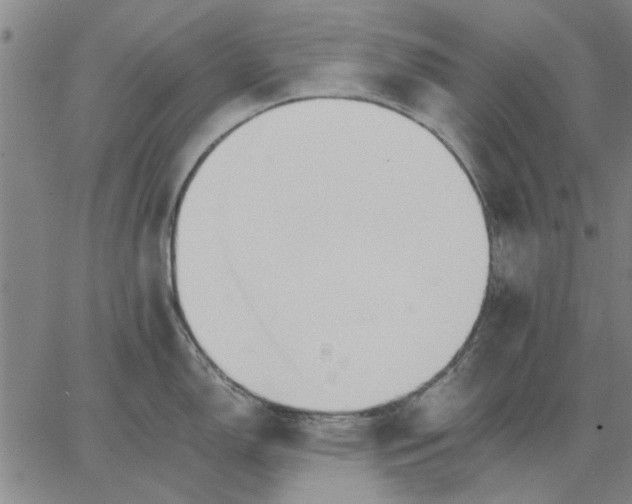 X0000066081150200604071725