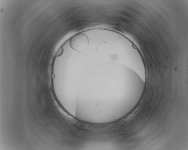 X0000066081151200604071725