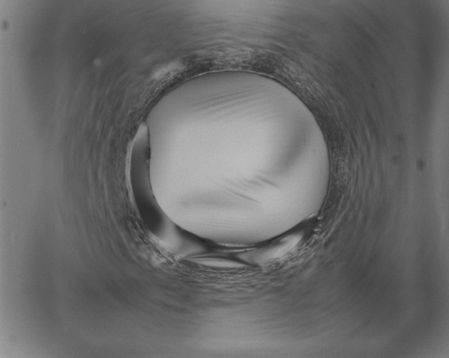 X0000066081153200604071725