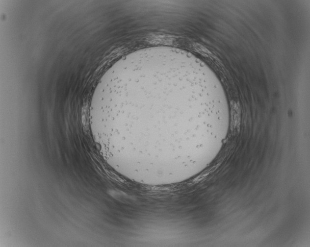 X0000066081154200604071725