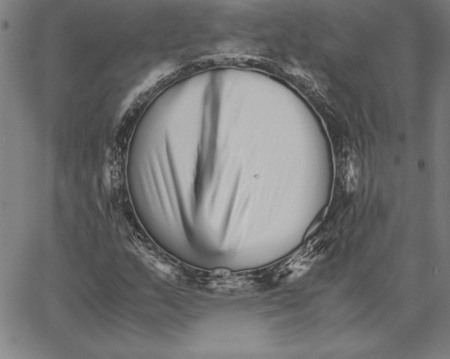 X0000066081159200604071724