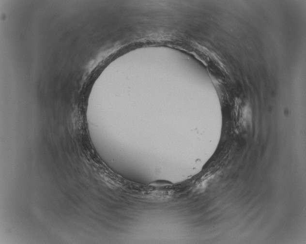 X0000066081160200604071724