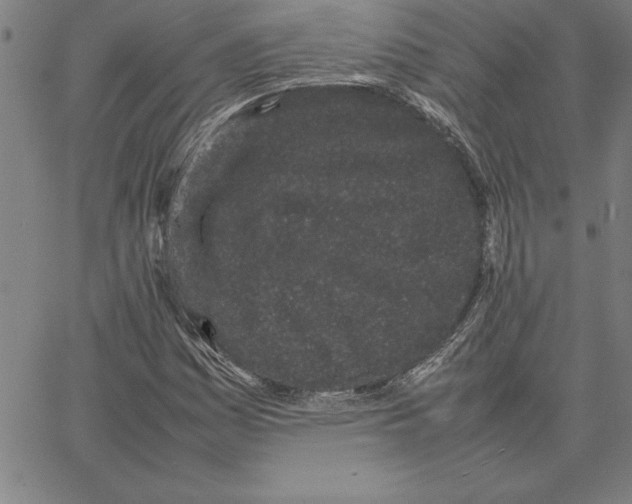 X0000066081161200604071724