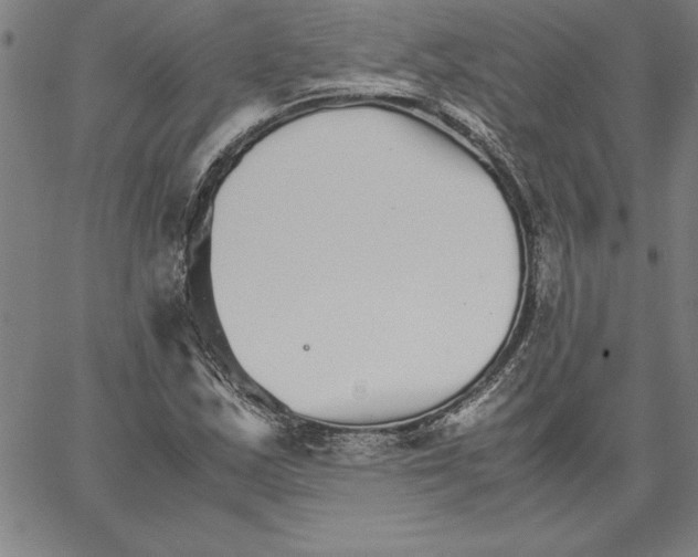 X0000066081163200604071724