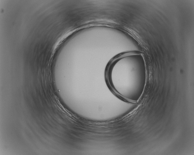 X0000066081164200604071724