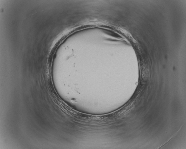 X0000066081167200604071724