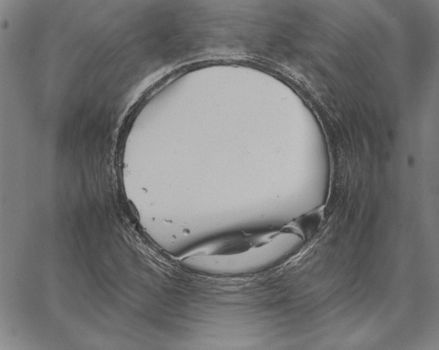 X0000066081168200604071724