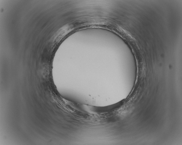 X0000066081169200604071724