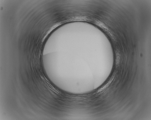 X0000066081170200604071724