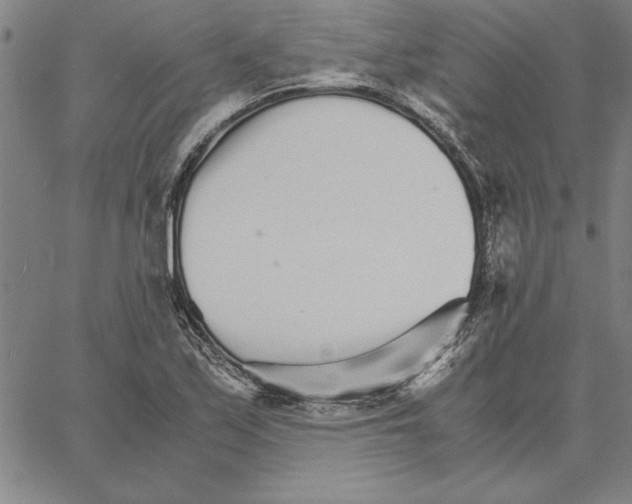 X0000066081171200604071724