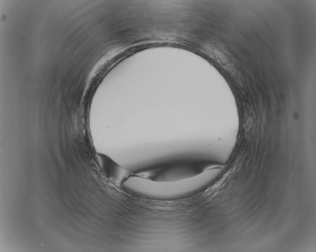 X0000066081172200604071724