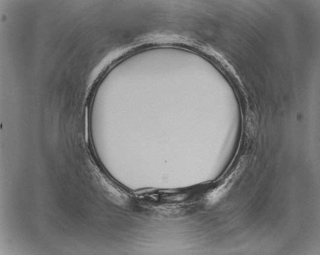 X0000066081175200604071724