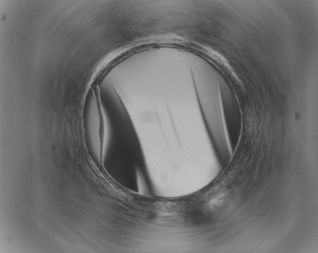 X0000066081176200604071724