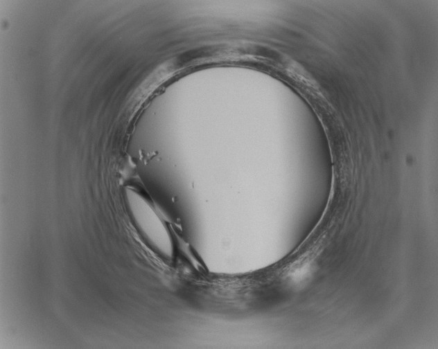 X0000066081177200604071724