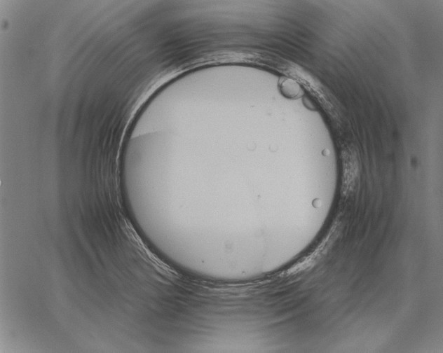 X0000066081178200604071724