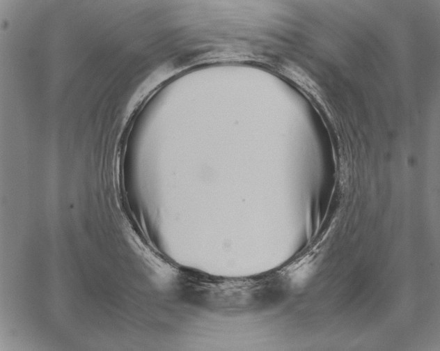 X0000066081179200604071724