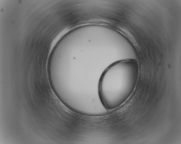 X0000066081180200604071724