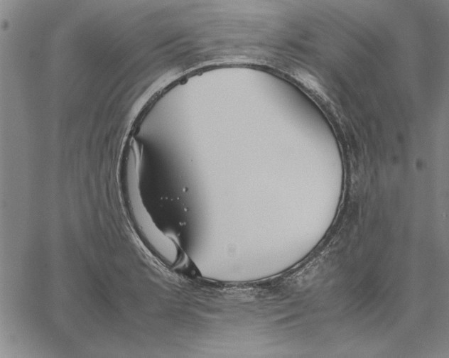 X0000066081181200604071724