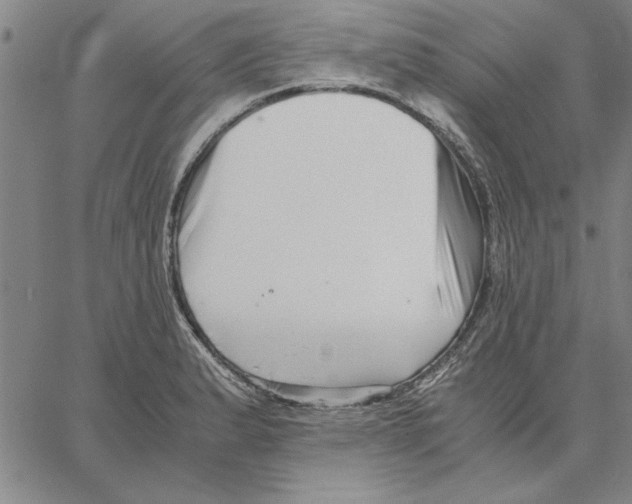 X0000066081183200604071724