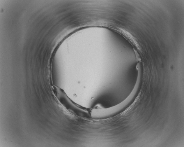 X0000066081184200604071724