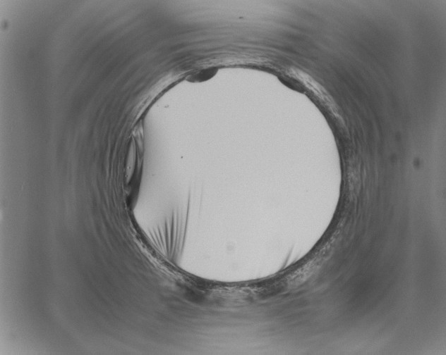 X0000066081185200604071724