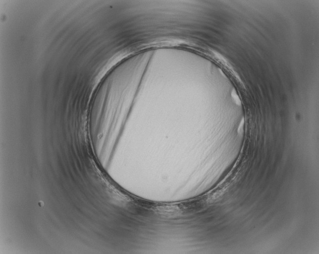 X0000066081186200604071724