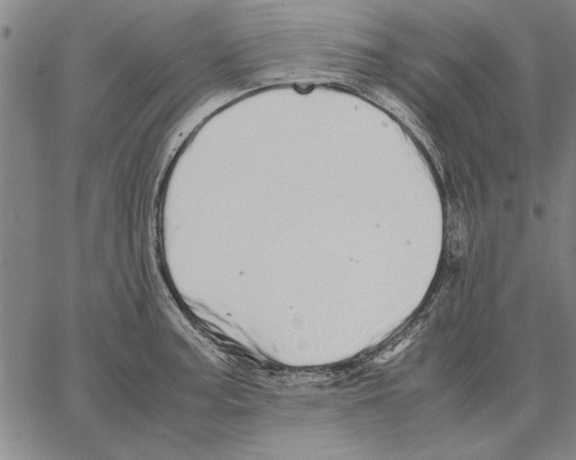 X0000066081187200604071724