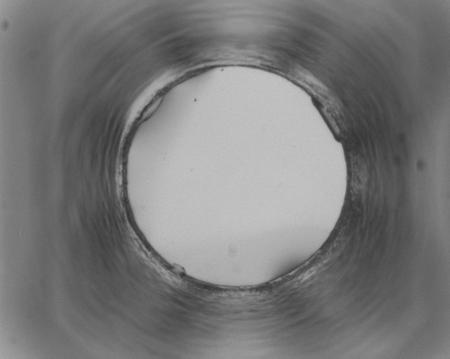 X0000066081188200604071724