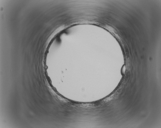 X0000066081189200604071724