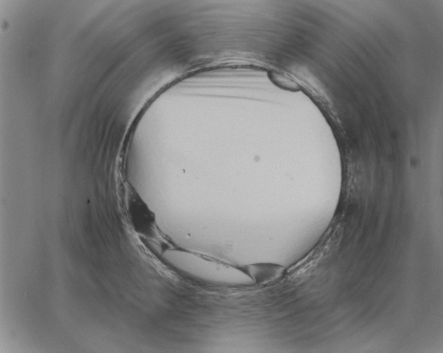 X0000066081190200604071724