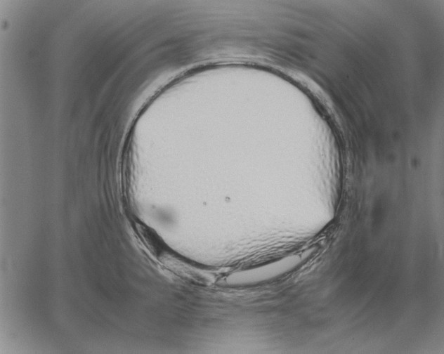 X0000066081191200604071724