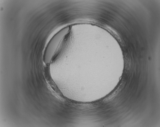 X0000066081192200604071724