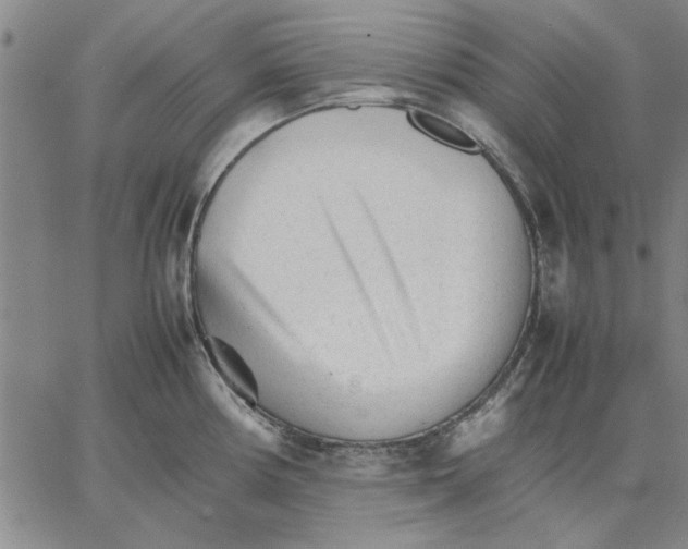 X0000066081194200604071724