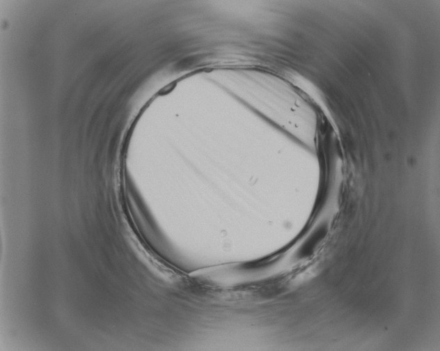 X0000066081195200604071724