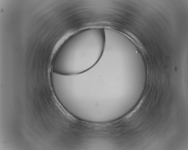 X0000066081196200604071724