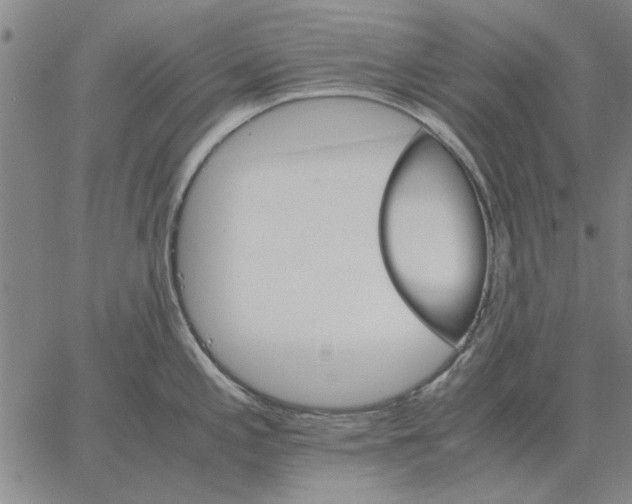 X0000066081197200604071724