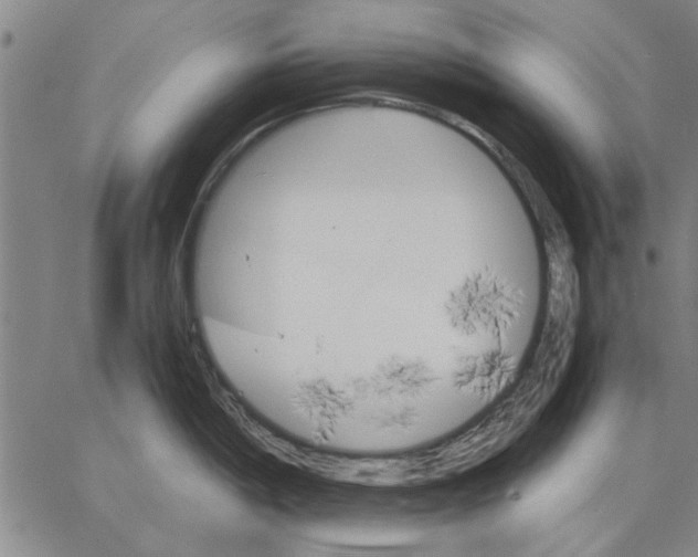 X0000066081198200604071724