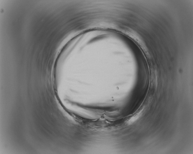 X0000066081199200604071724