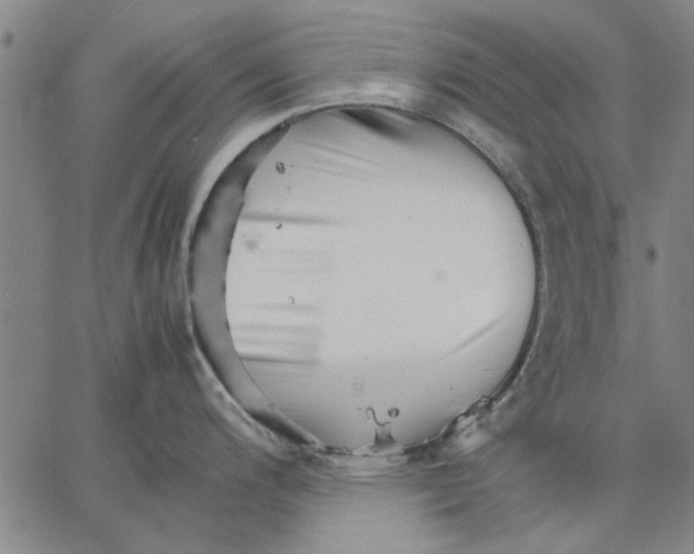 X0000066081200200604071724