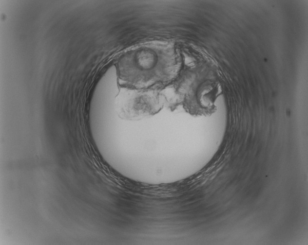 X0000066081201200604071723