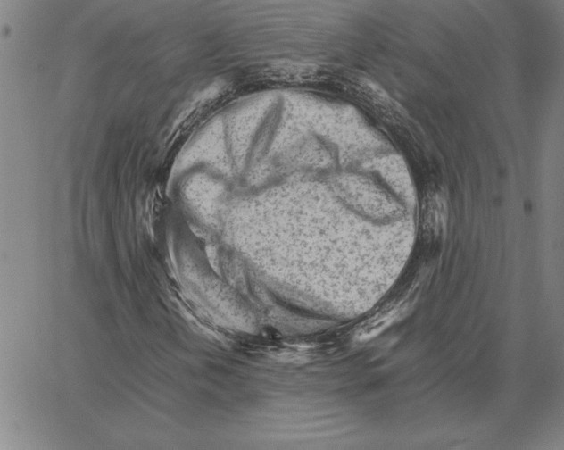 X0000066081202200604071723