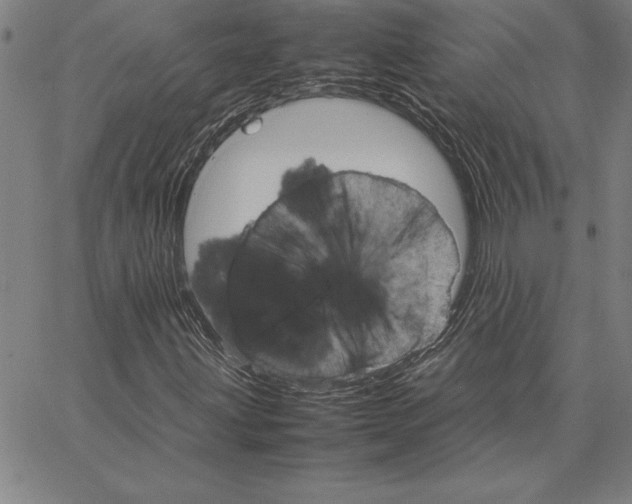 X0000066081203200604071723