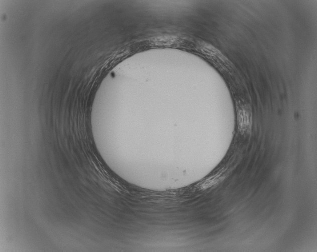 X0000066081204200604071723