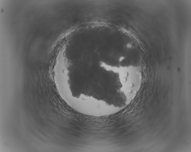 X0000066081207200604071723