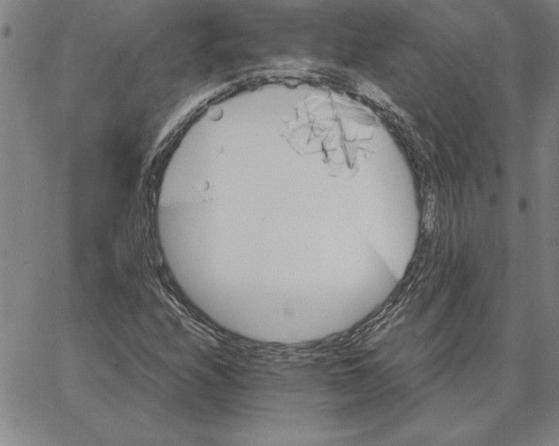 X0000066081208200604071723