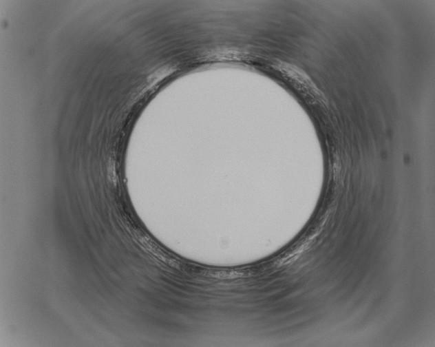 X0000066081209200604071723