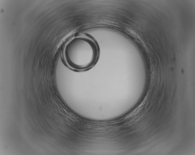 X0000066081210200604071723