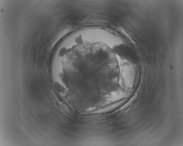 X0000066081211200604071723