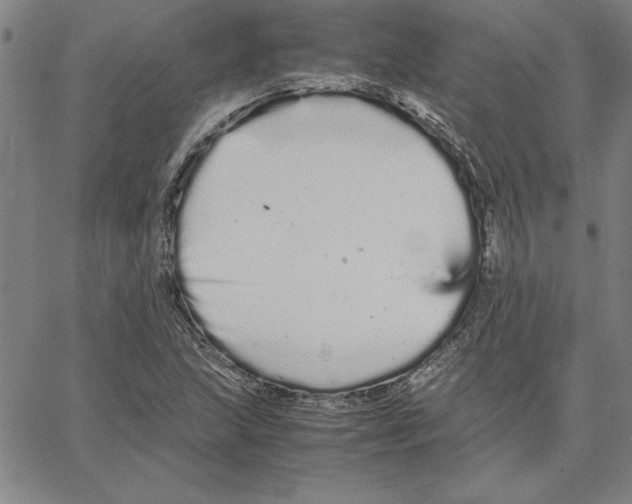 X0000066081215200604071723